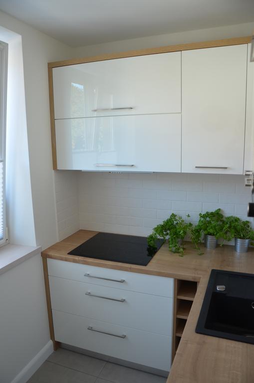 Apartament Na Starowce Grobla I Гданьск Номер фото